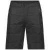 SCOTT Insuloft Light PL Shorts - Men's