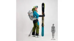 SCOTT Line Chaser GTX 3L Pants - Women's -Scott Ski Shop opplanet scott line chaser gtx 3l pants womens fir green winter green large 2918597392009 av 4